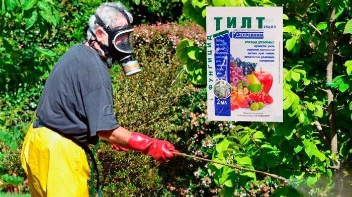 Химическая защита растений