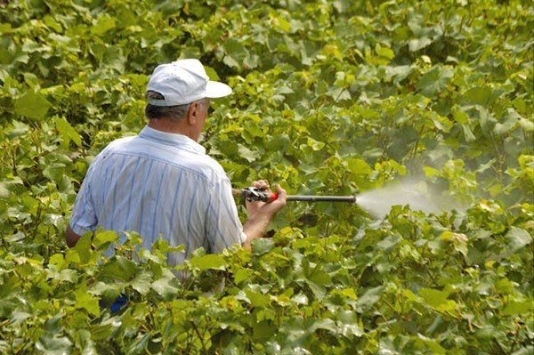 Пестициды в сельском хозяйстве