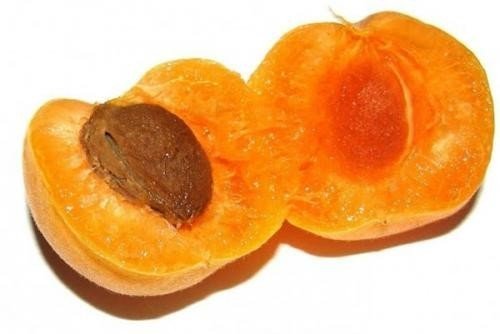 Разрезанный абрикос с косточкой
