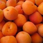 Оранжевый бум: лучшие рецепты с абрикосами
