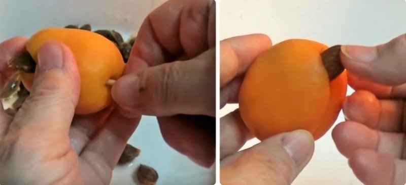 Разрезать яйцо в скорлупе