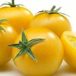 Выращивание раннеспелого сорта помидоров черри