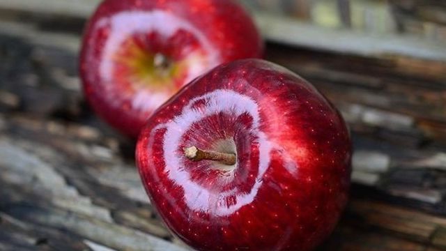 Гликемический индекс яблока