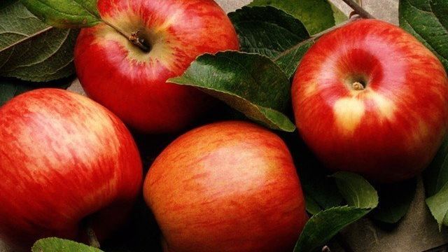 Сорт яблони дюшес — Дневник садовода semena-zdes