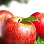 Яблоня Осеннее полосатое — описание сорта, фото, отзывы