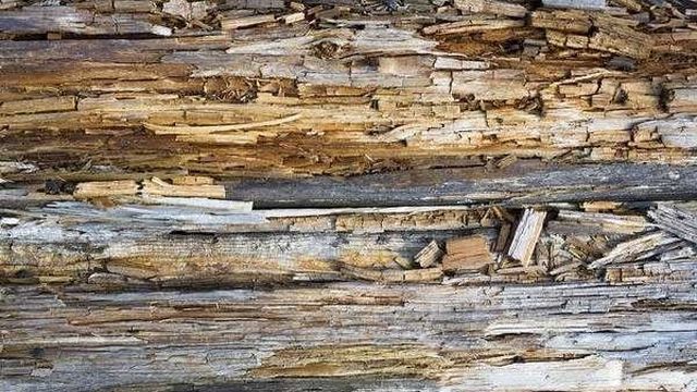 Чем обработать деревянные бортики высоких грядок от гниения