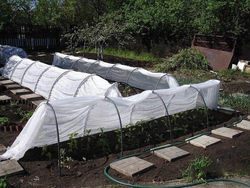 Готовая конструкция для выращивания овощей