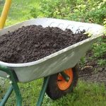 Как правильно использовать компост для разных садовых растений