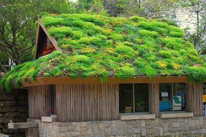 Зеленая архитектура