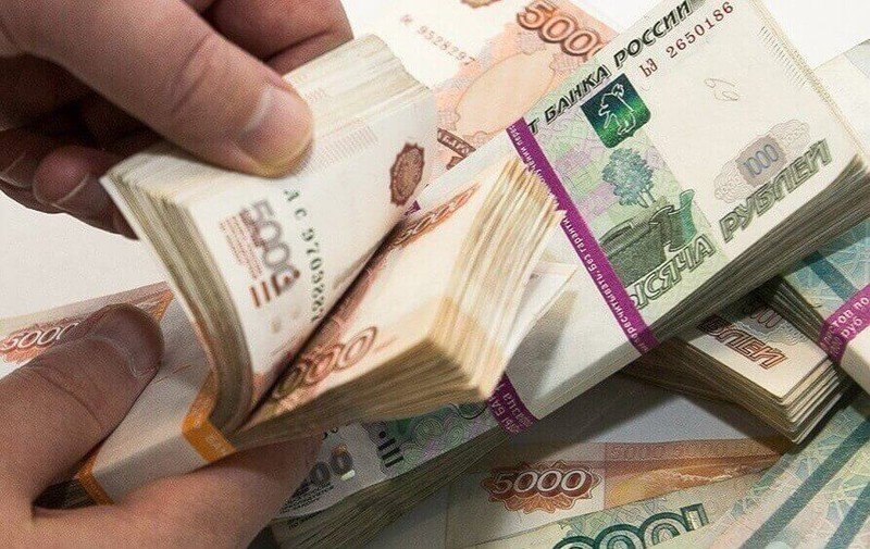 Прибыльная теплица: как получить 1 миллион рублей с собственного парника