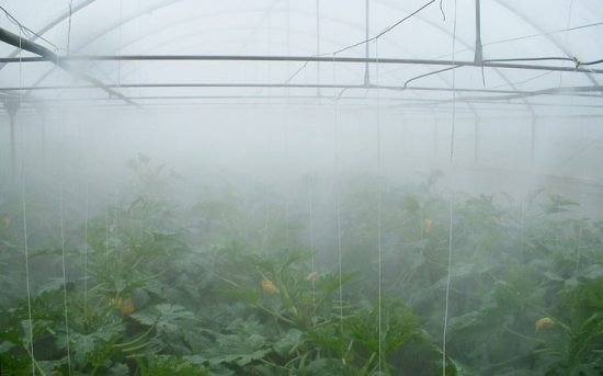 Система туманообразования для теплиц