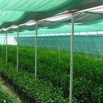 Затеняющая сетка для теплиц — надежная защита растений и повышение урожайности