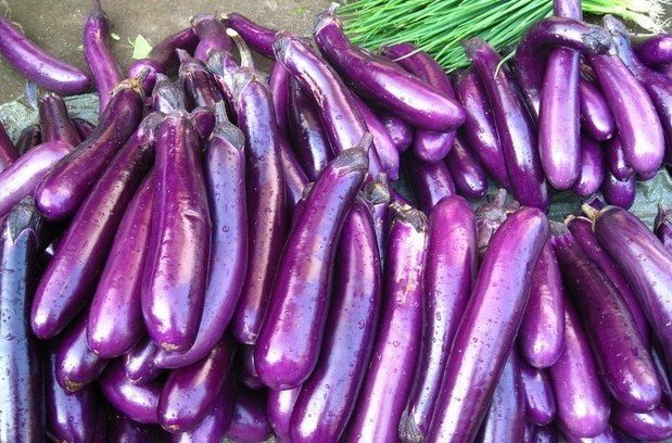 Баклажан Длинный фиолетовый — отзывы, характеристика и описание сорта