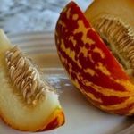 Дыня Ананасная: описание сорта и сравнение ананасных видов культуры