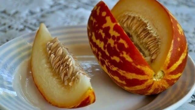 Дыня Ананасная: описание сорта и сравнение ананасных видов культуры