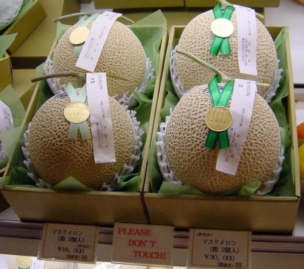 Japan melon price $