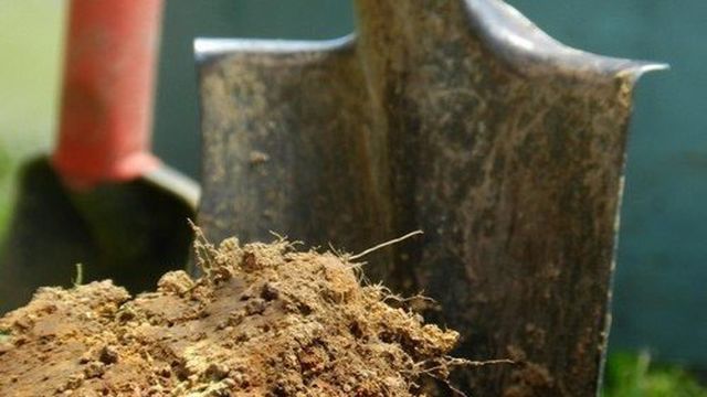 Как подготовить почву для выращивания картофеля