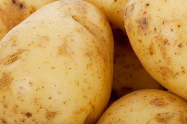Ранние сорта картофеля