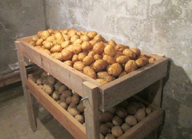 Сорт картофеля хранение лежкость галла