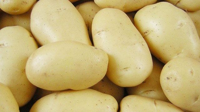 Гранада: описание семенного сорта картофеля, характеристики, агротехника