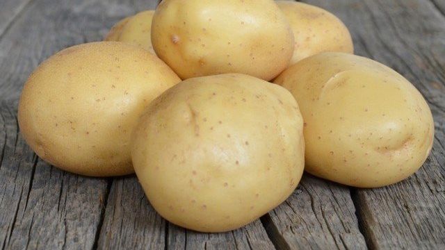 Картофель Мелодия: характеристики сорта, урожайность, отзывы