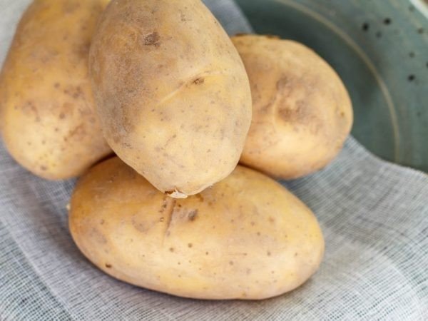 Сорт картофеля велла