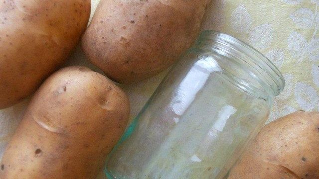 Вега: описание семенного сорта картофеля, характеристики, агротехника