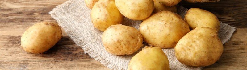 Сорт картофеля янка вкусовые качества