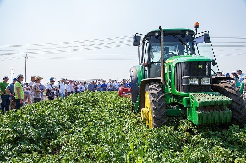Работу трактористом на плантации картофеля в ростовской области