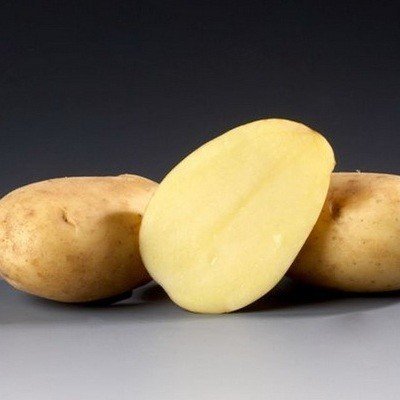 Картофель сорт лабадия