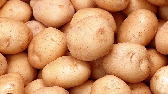Посадка и уход за картофелем — секреты успешного выращивания растения