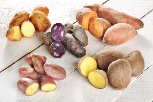 Хозяйственно ботанические сорта картофеля