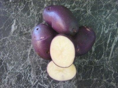 Сорт картофеля голубой дунай