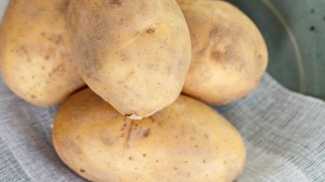 Сорт картофеля «Великан»: характеристика, урожайность, отзывы и фото