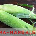 Как варить кукурузу правильно: что мы не знали о царице полей