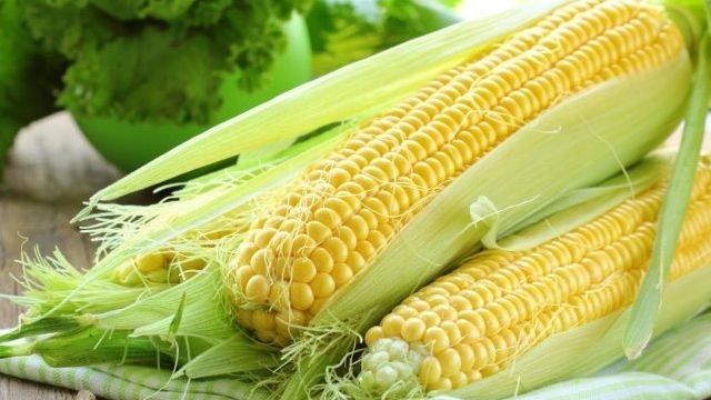 Самогон из кукурузы в домашних условиях