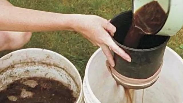 Полив лука в открытом грунте: как часто поливать и когда прекращать, нормы и сроки, применение соленой воды