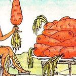 Что же такое морковь и какие тайны скрывает королева овощей