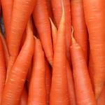 Как сохранить морковь на зиму в земле