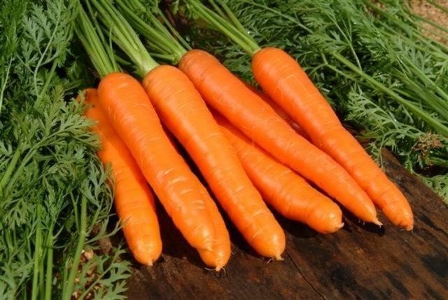 Морковь берликум роял