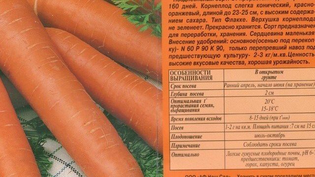 Лучшие сорта моркови с описанием на любой вкус и цвет