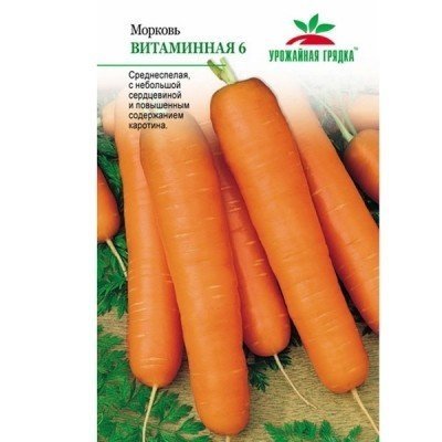 Морковь сорт самсон