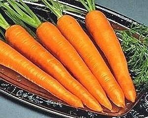 Морковь каротан гавриш