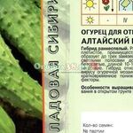 Подходящие сорта и особенности выращивания огурцов в открытом грунте в Сибири