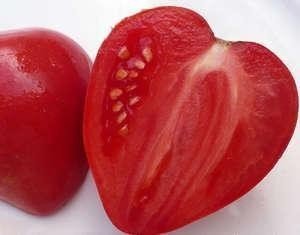 Розмарин фунтовый томат