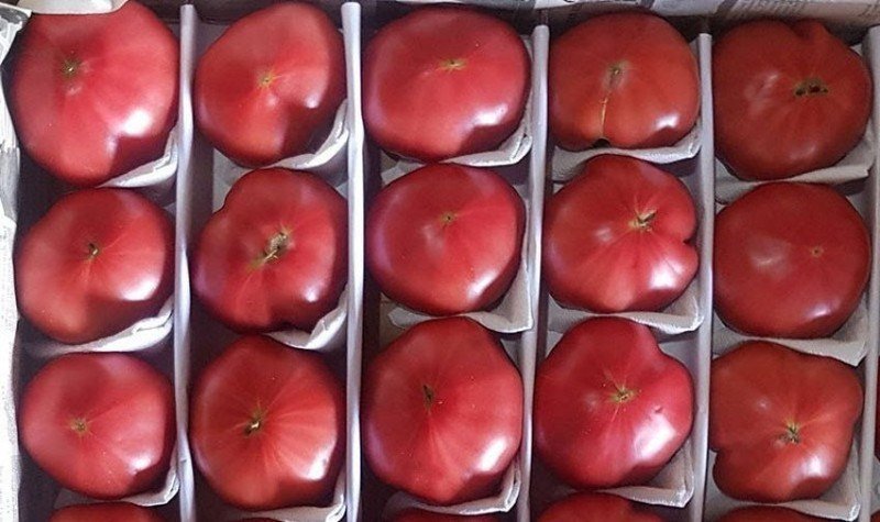 Узбекские помидоры мармара