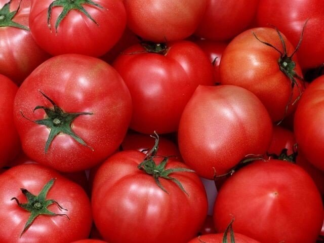 Сорта помидор для теплицы самоопыляемые