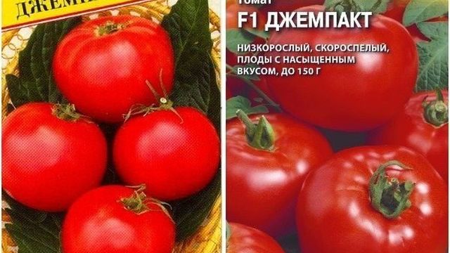 Описание сорта томата Джемпакт, его характеристика и урожайность