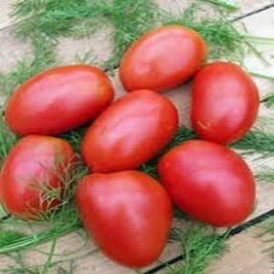 Сорт шарада помидор