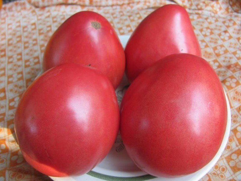 Семена томат пудовик